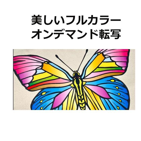 centelleo-shop_or-bg-cvzt_11