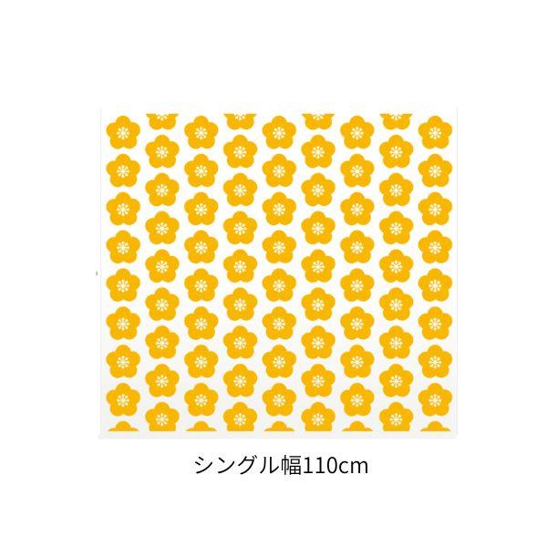 centelleo-shop_or-fbrc-tw40_3_d_20250805103022