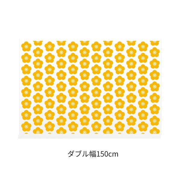 centelleo-shop_or-fbrc-tw40-w_3_d_20250805111736