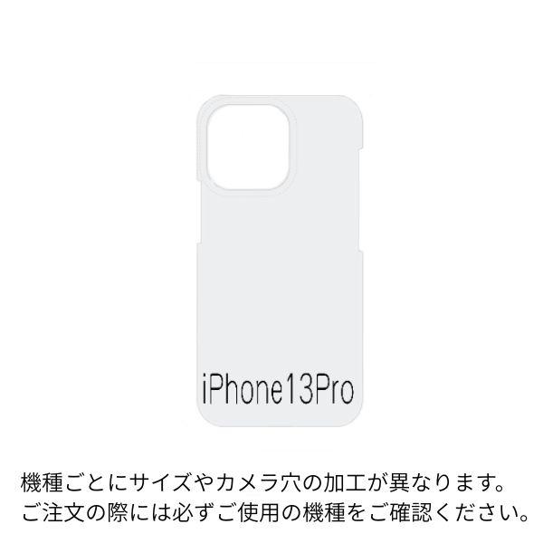 centelleo-shop_org-dsf-104_3_d_20250829125040