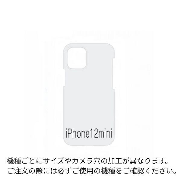 centelleo-shop_org-dsf-115_5_d_20250903114019